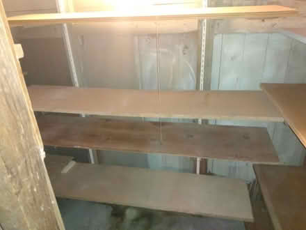 Photo of free adjustable wall-mount shelves (Cambridge, Porter Square) #2
