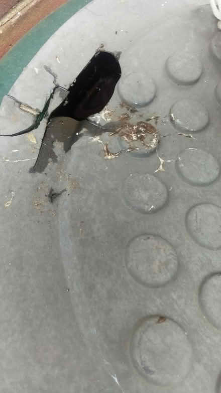 Photo of free Water butt💦 (Folkestone Kent) #2