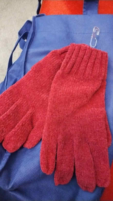 Photo of free women's gloves (Allen) #1