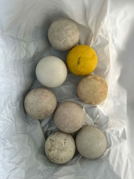 Photo of free Lacrosse balls (San Leandro) #1