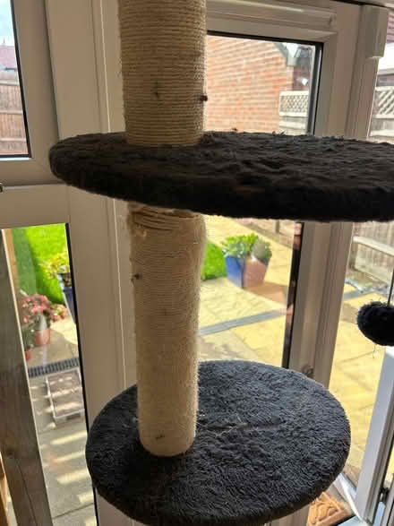 Photo of free Well loved Cat Tower (West Malling, ME19) #2