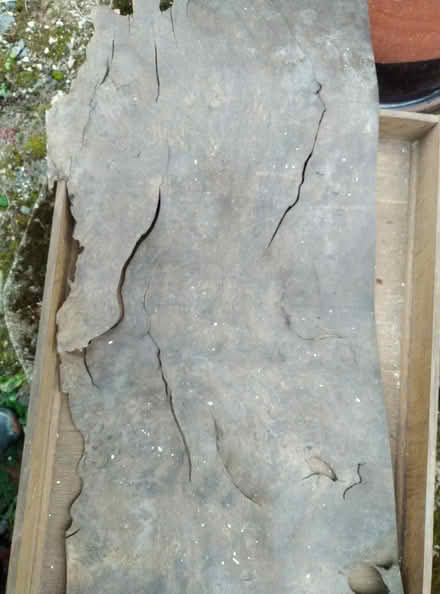 Photo of free Very old wood veneer (Lixwm CH8) #2