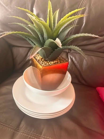 Photo of free Plates/household (Oakwood LS8) #1