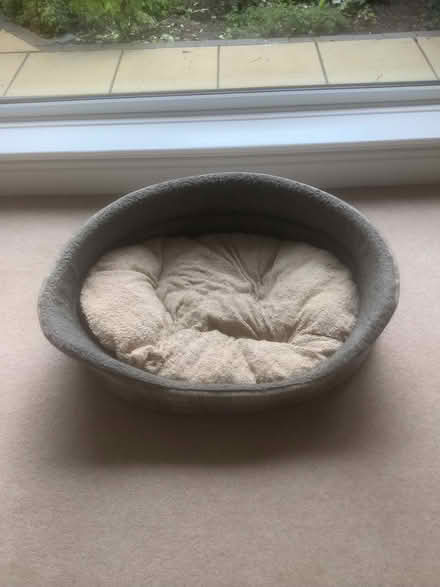Photo of free Dog bed (Thornton FY5) #1