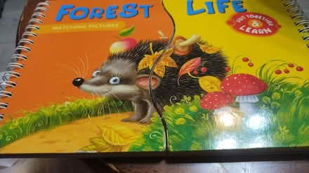 Photo of free Forest Life book (Allen) #1