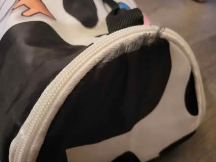 Photo of free Moo lunchbox (Tamworth) #2