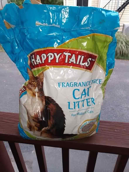 Photo of free cat litter (Cambridge, Porter Square) #1