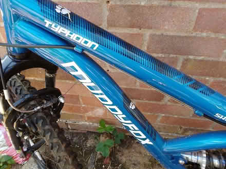 Photo of free Bike (Lexden CO3) #3