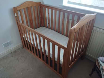 Photo of free Timber Cot (Underdale SY2) #2