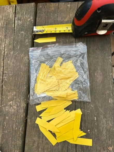 Photo of free plant markers (Bishops Hull) #1