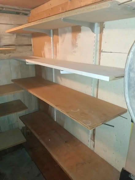 Photo of free adjustable wall-mount shelves (Cambridge, Porter Square) #3