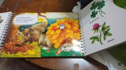 Photo of free Forest Life book (Allen) #2