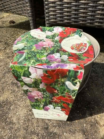 Photo of free Sweet Pea Grow Set (Hadleigh SS7) #1