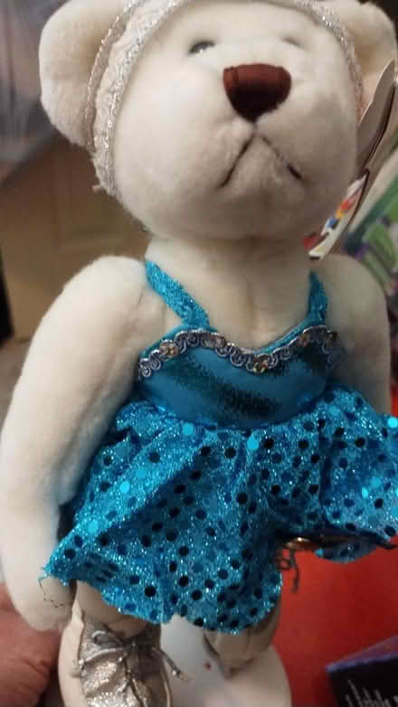 Photo of free Bear ice skater (Allen) #1
