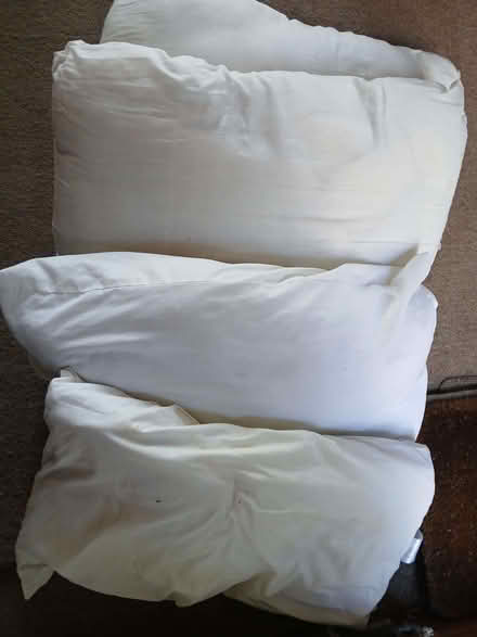 Photo of free 4 pillows (West Hill TN34) #1