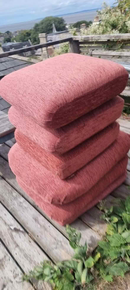 Photo of free 6 sofa cushions (Clevedon) (Clevedon BS21) #1