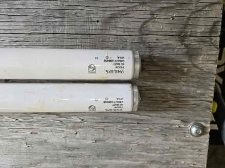 Photo of free Fluorescent Light Bulbs (Britannia & Winston Churchill) #1