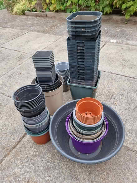Photo of free Plant pots (Wells BA5) #2