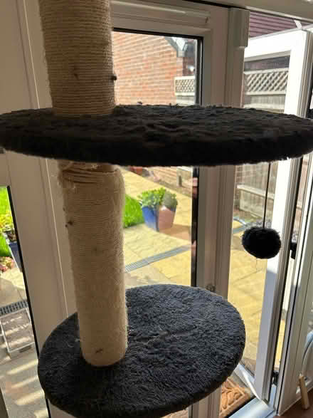 Photo of free Well loved Cat Tower (West Malling, ME19) #3