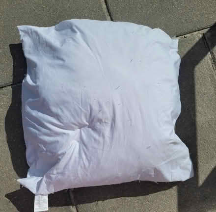 Photo of free Large Feather/Down Filled Cushion (New Longton PR4 4) #1