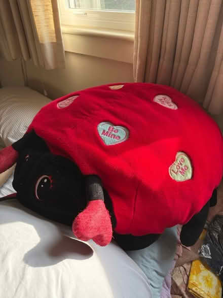 Photo of free Cozy love bug (Highland Park) #2