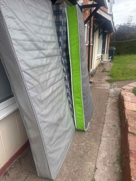 Photo of free 3 single mattress (Llnyclys) #1