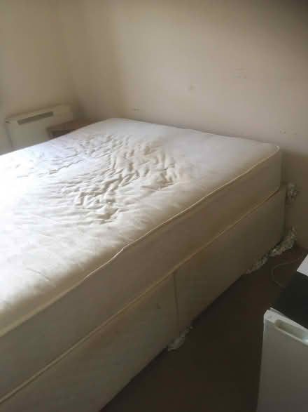 Photo of free King Size Bed (New Zealand DE1) #4