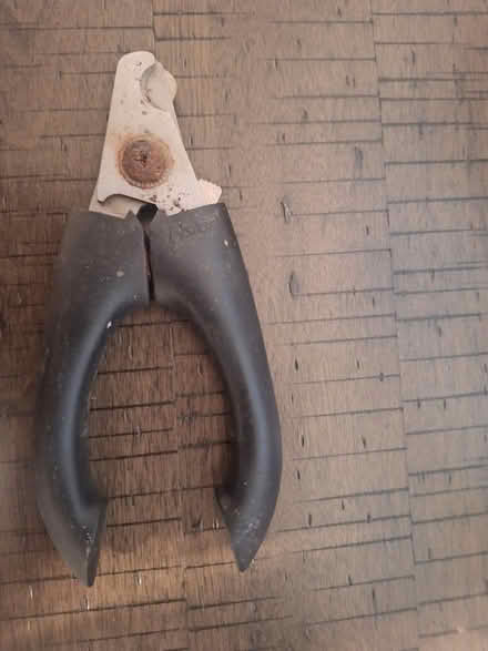 Photo of free Used dog nail clippers (Holly Springs, on Fuquay side) #1