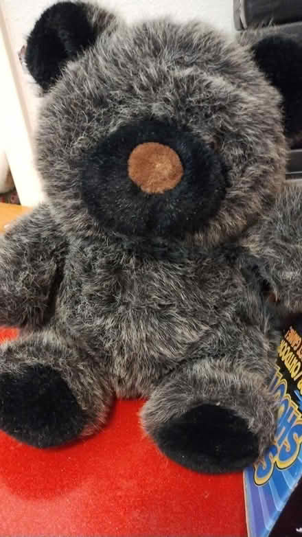 Photo of free Stuffed black bear (Allen) #1