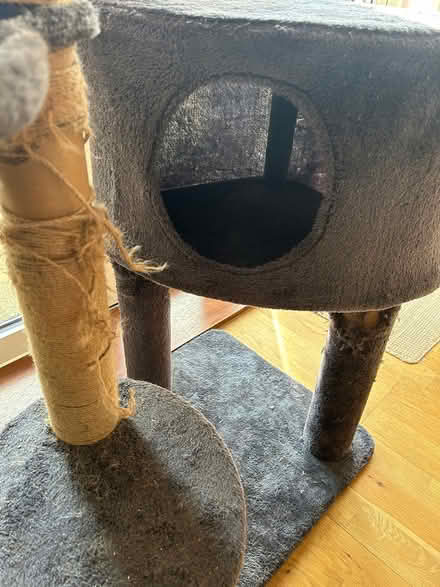 Photo of free Well loved Cat Tower (West Malling, ME19) #4