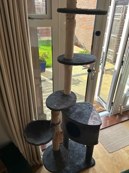 Photo of free Well loved Cat Tower (West Malling, ME19) #1