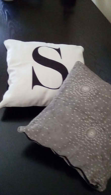 Photo of free Two cushions approx 38cms (Lower Earley RG6) #1