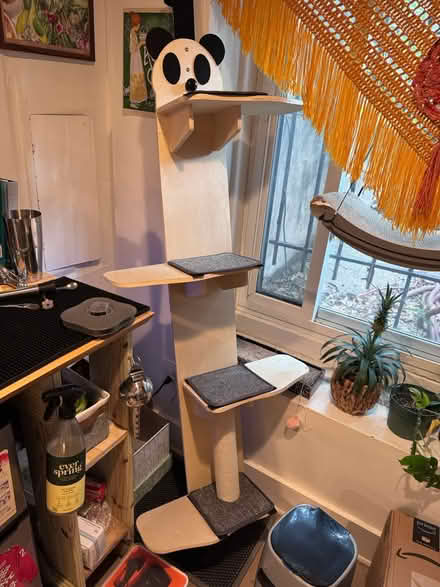 Photo of free Hanging Cat Tower (Columbia Heights near DC USA) #1