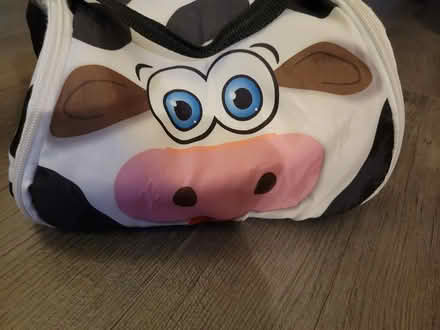 Photo of free Moo lunchbox (Tamworth) #4