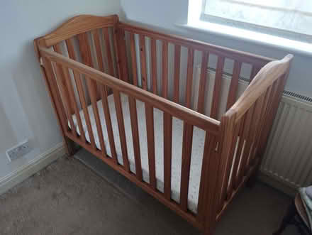 Photo of free Timber Cot (Underdale SY2) #1