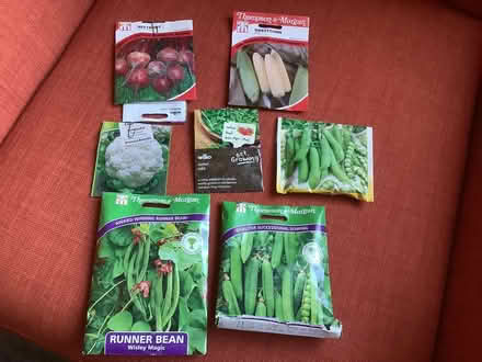 Photo of free Packets of vegetable seeds (Grange Estate, Letchworth SG6) #1