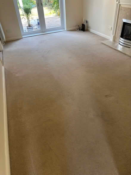 Photo of free Carpet (Milton PO4) #2