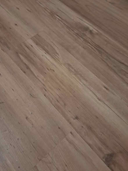 Photo of free Click and snap laminate flooring (Pasadena/Clear Lake) #1
