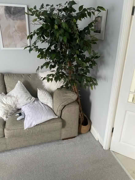 Photo of free Artificial Tree with lights (CH62) #1