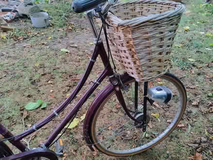 Photo of free Ladies Rayleigh Traditional Bicycle - needs tlc (Marks Tey CO6) #3