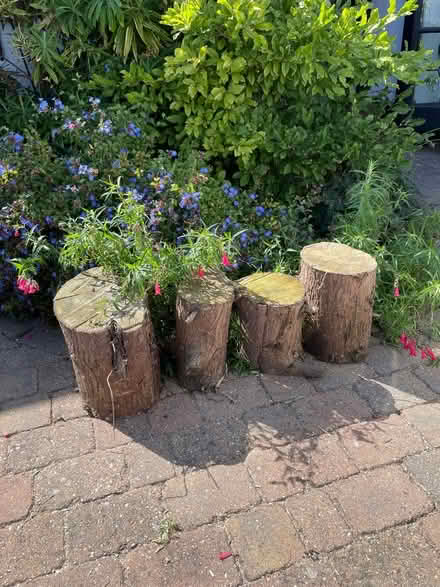 Photo of free 4 logs (Leigh on sea SS9) #2