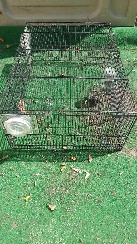 Photo of free Small pet cage with water bottle (Hertford Heath SG13) #1