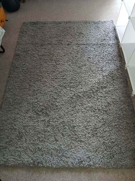 Photo of free Rug (Highbury Vale NG6) #2