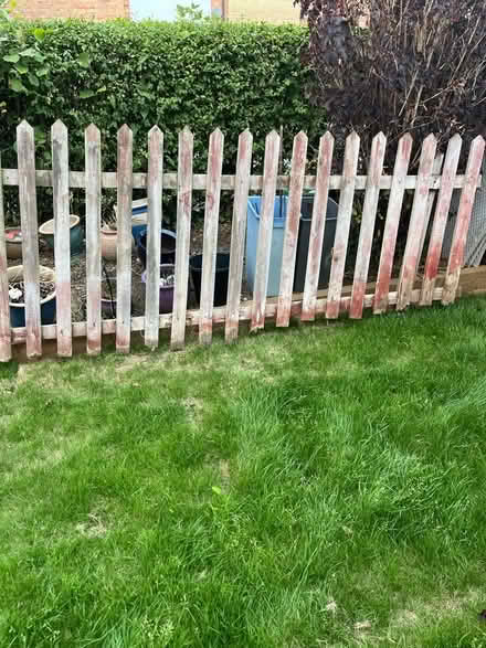 Photo of free Wooden fencing (Prestbury GL52) #2