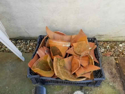 Photo of free Garden stuff (Sandylands morecambe LA3) #3