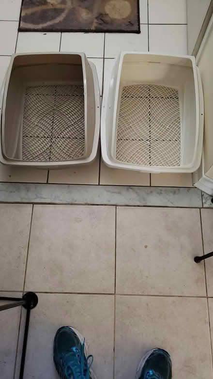 Photo of free Shifting cat litter trays (10/eg) #1