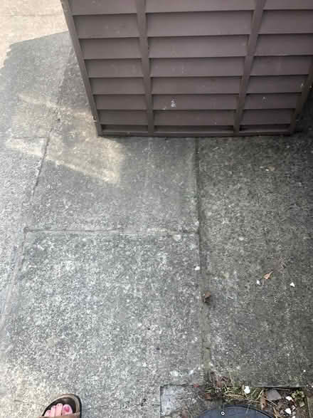 Photo of free Medium dog kennel (wirral) #4
