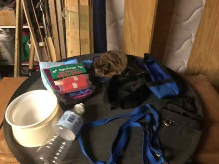 Photo of free Dog Backpack and Boots (East Watertown) #2