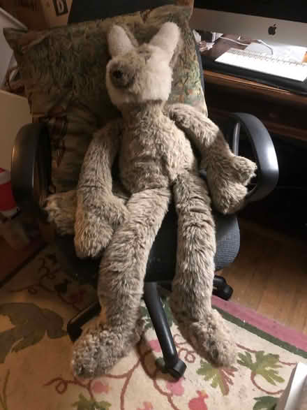 Photo of free Large plush Coyota? Kangaroo? (East Watertown) #1