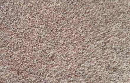 Photo of free Carpet quality offcut for small room/ lobby (Thorpe St Andrew NR7) #3